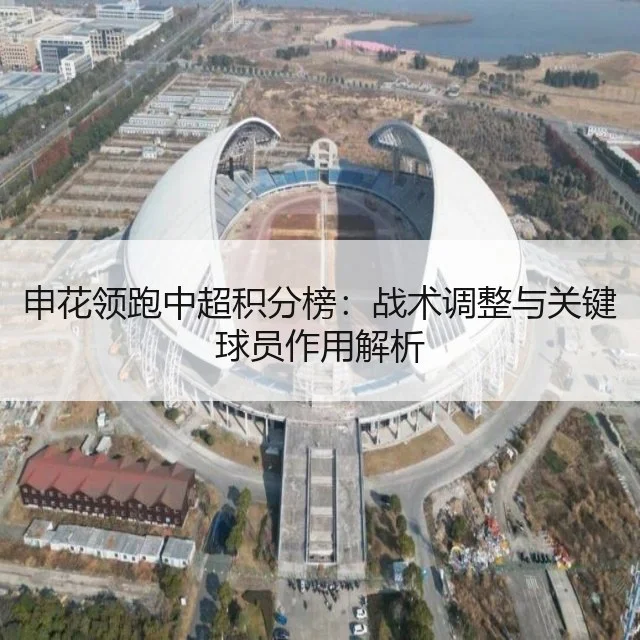 申花领跑中超积分榜：战术调整与关键球员作用解析